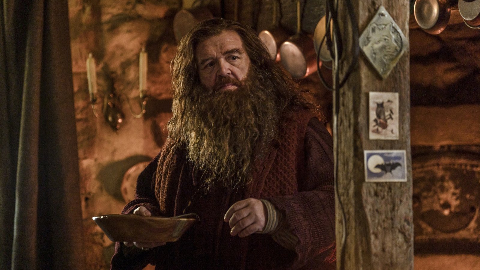 Nick Frost como Hagrid na série de Harry Potter da HBO